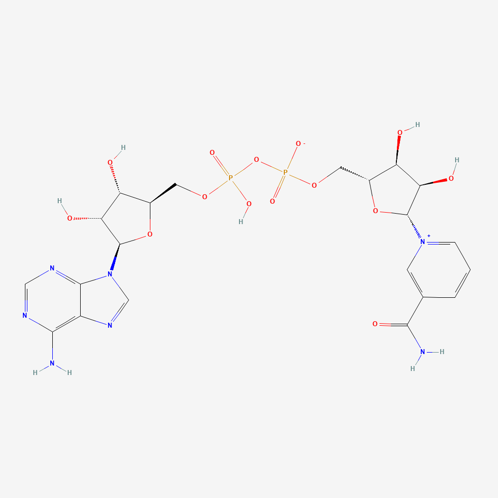 PubChem 2D molecular structure for NAD+, CID 5892